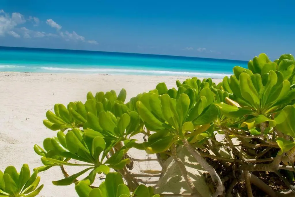 Beachfront Apartment Marlin Villa 107 Канкун